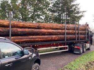 Douglas Fir Poles, truck for scale