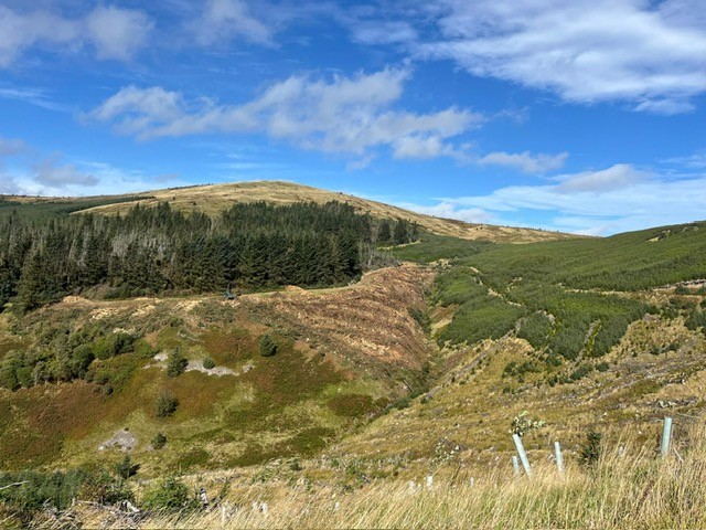 Kidland Forest Update – December 2025